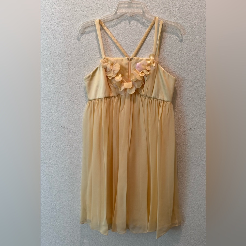 Marc Bouwer Chiffon Flower Appliqué Dress